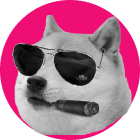 25 Doge Coins