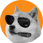 25 Doge Coins